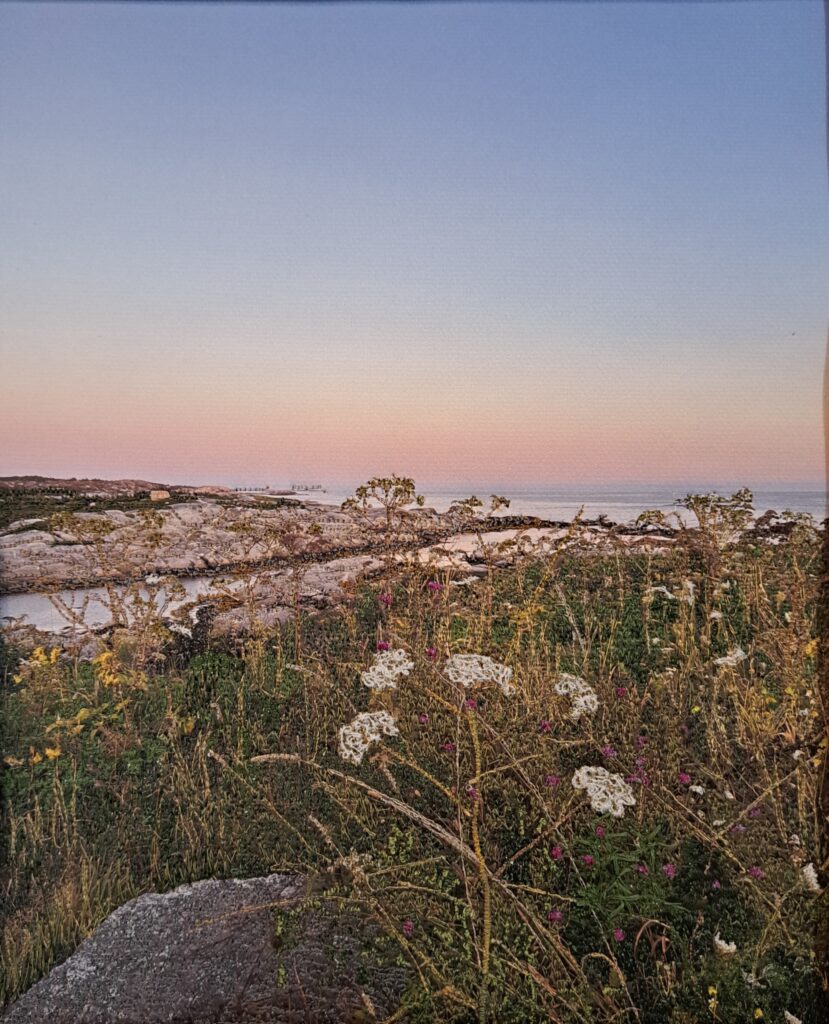 Krista Fraser, Sea Weeds, Thread Painting