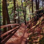 Krista Fraser, Victoria Park, Thread Paiting