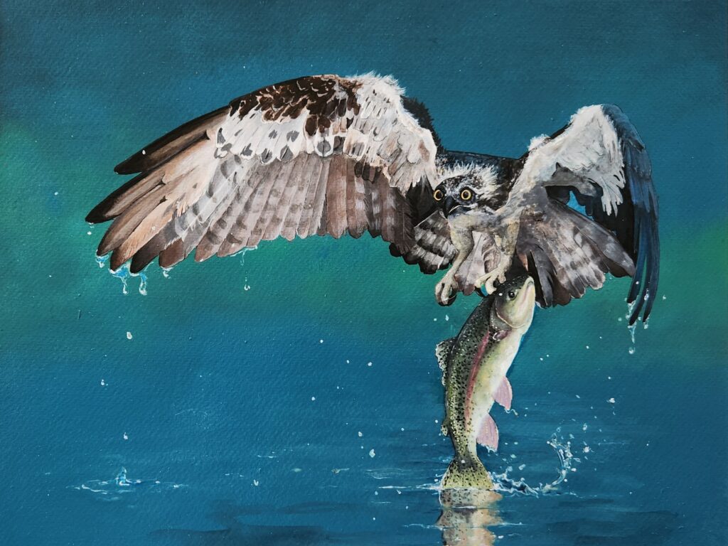 Jessica Seward, Big Fish, Acrylic