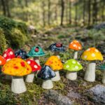 Shauna MacLeod, Mushrooms, Clay