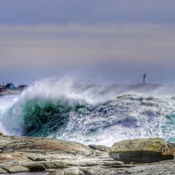 Mike Tindal, Peggy's Cove 2025, Photo