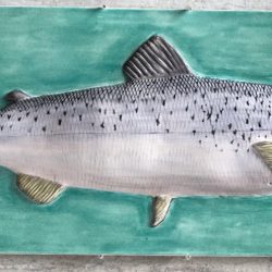 Bunk Trinacty, Salmon, Clay