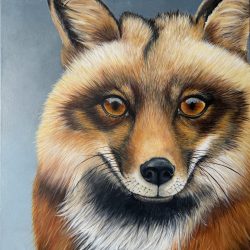 Maureen Isles McArthur, Frankie the Fox, Acrylics